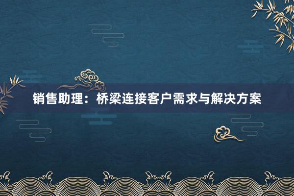 销售助理：桥梁连接客户需求与解决方案